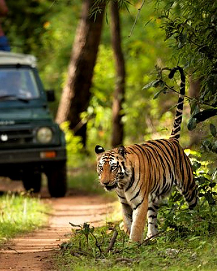 Rajaji National Park